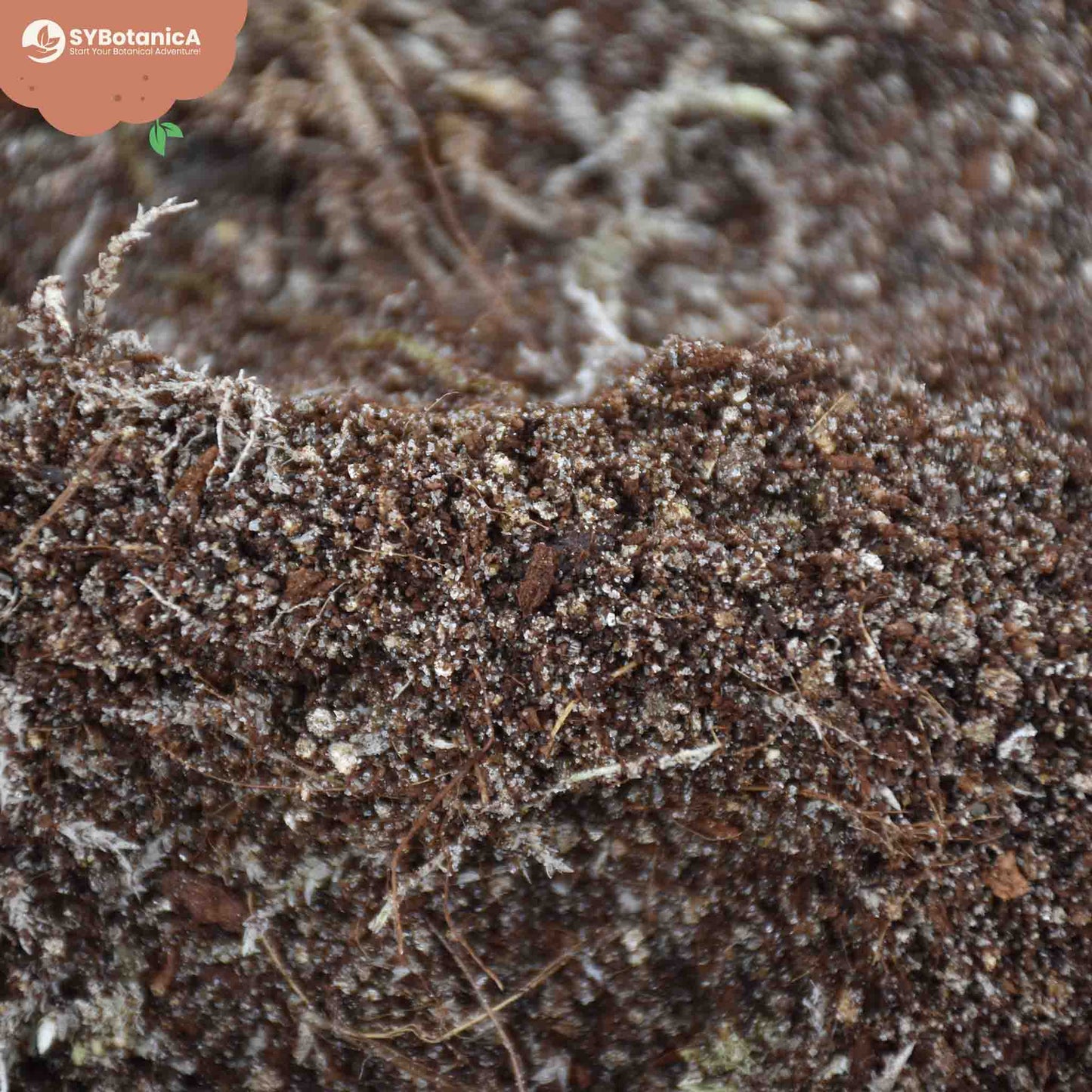 Kødædende planter-Jord