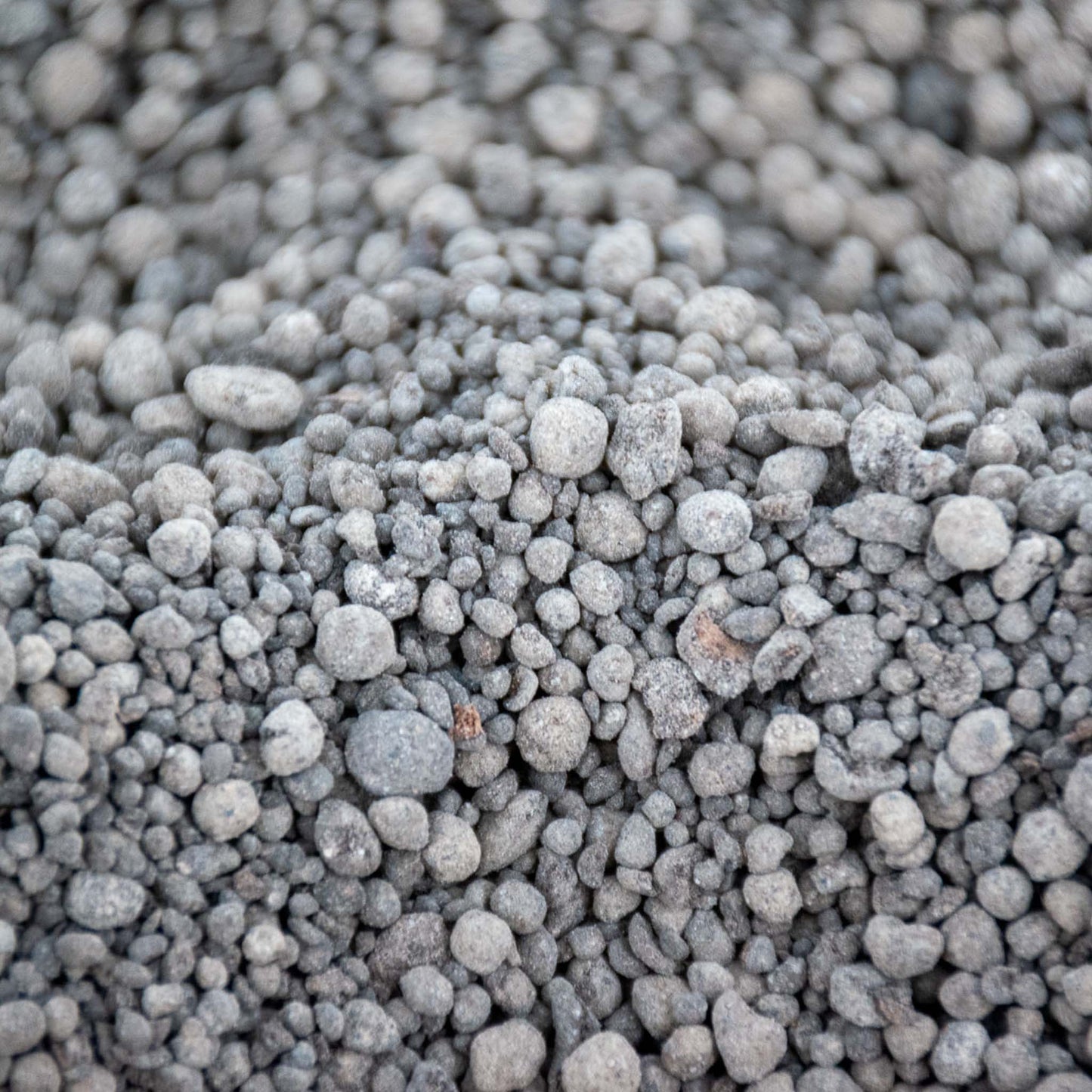 Orkidé Langsomt Frigivende Plantenæring