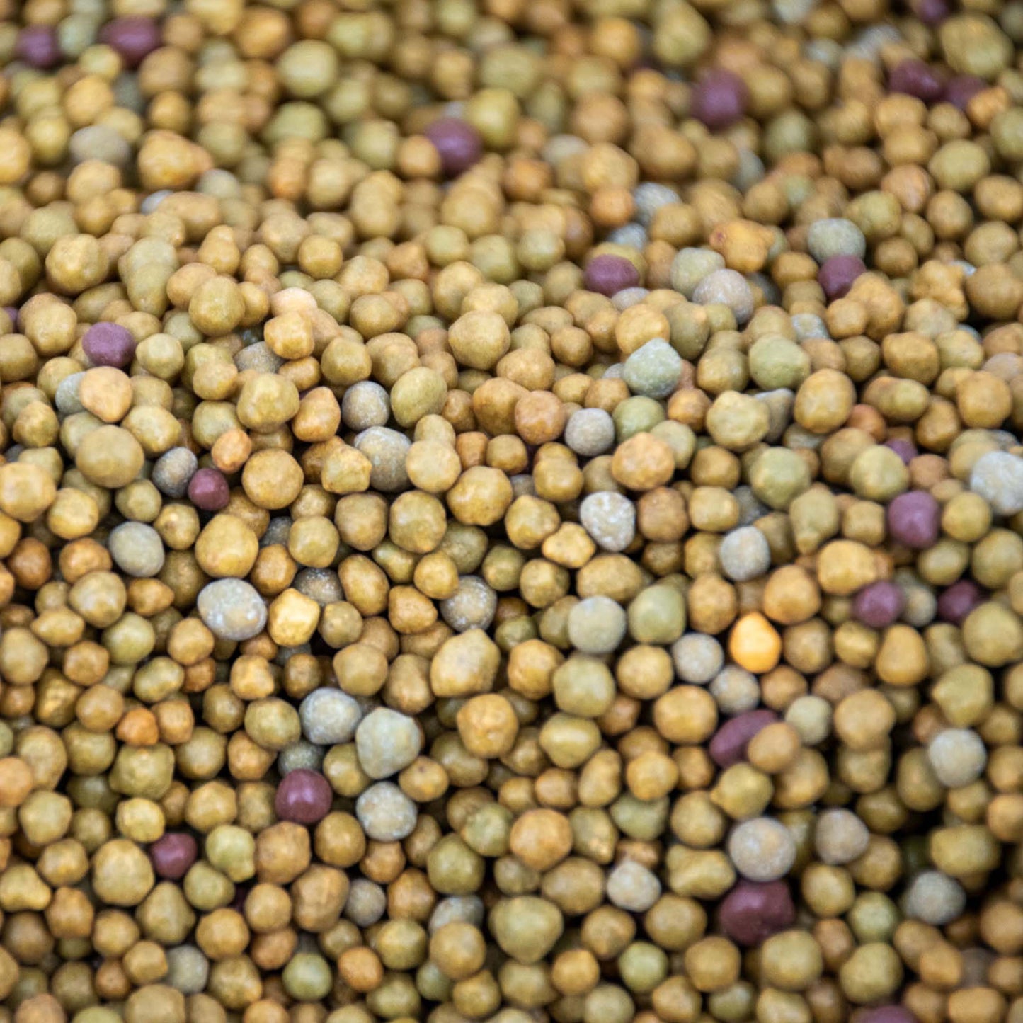 Tropisk Langsomt Frigivende Plantenæring