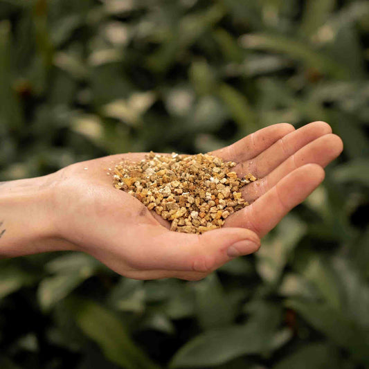 Vermiculite