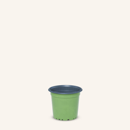Green Nursery Pot