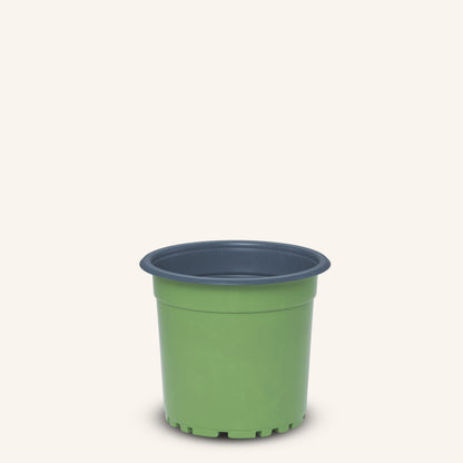 Green Nursery Pot