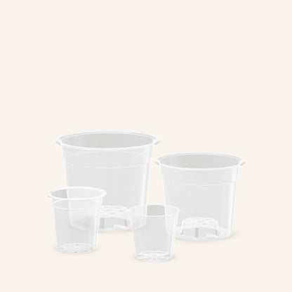 Clear Orchid Plant Pots