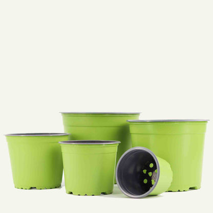 Green nursery pot