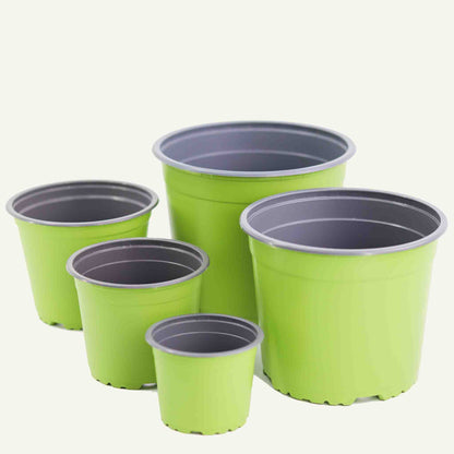 Green nursery pot