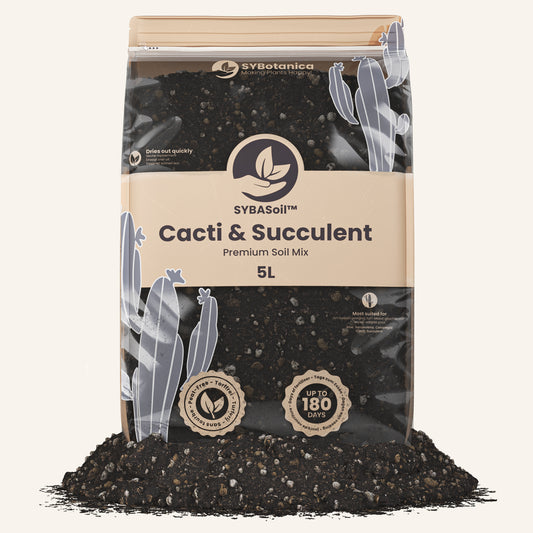 Cacti & Succulent Mix