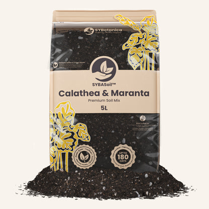 Calathea & Maranta-Jord 5L