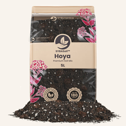 Hoya Mix 5L