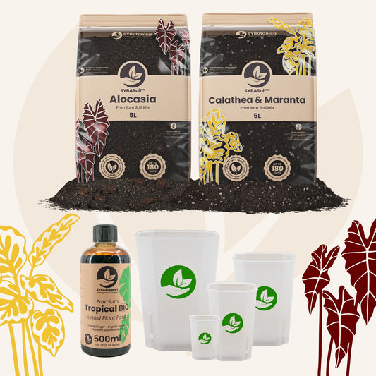 Tropisk jungle velkomstpakke