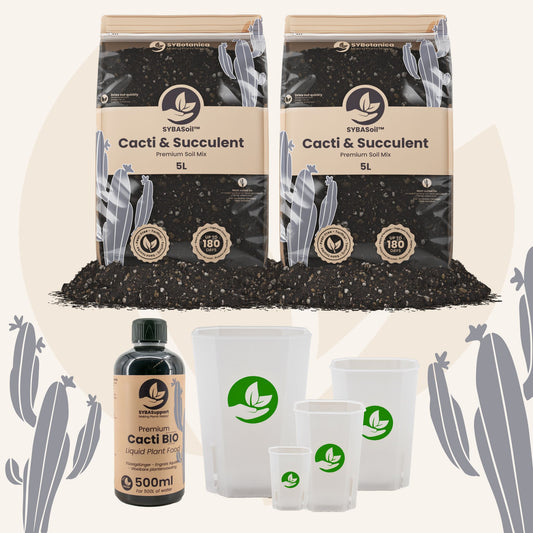 Kaktus & sukkulent velkomstpakke