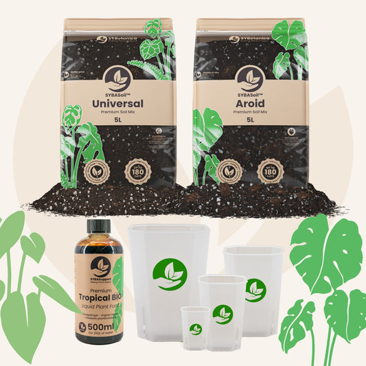 Monstera & Philodendron velkomstpakke