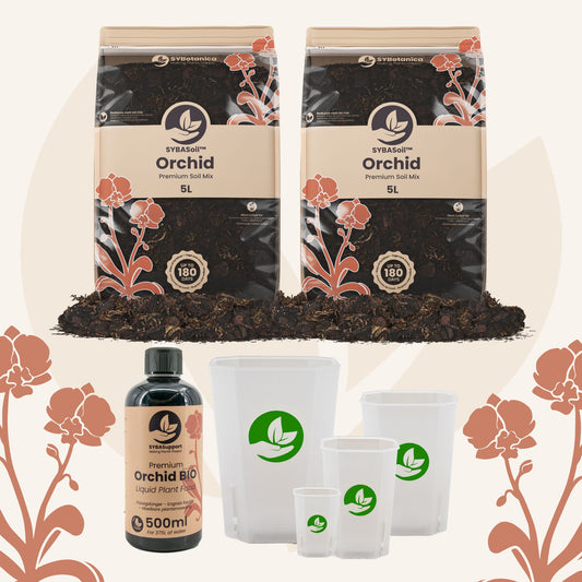 Orchid velkomstpakke