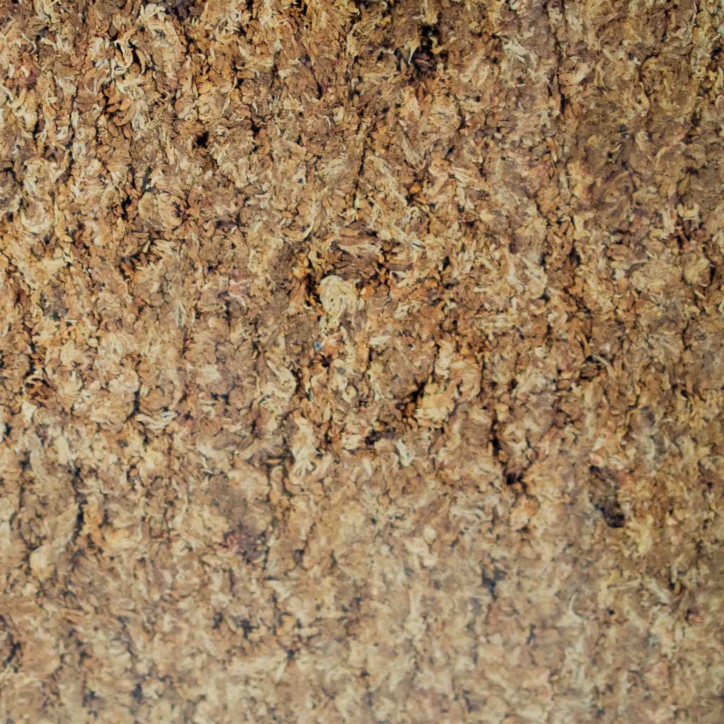 Pressed Sphagnum-mos (argentinsk)