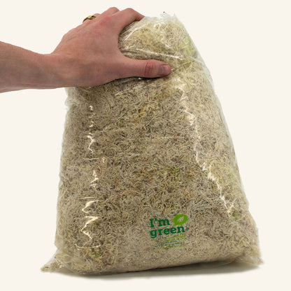 Sphaxx (Indendørs dyrket sphagnum)