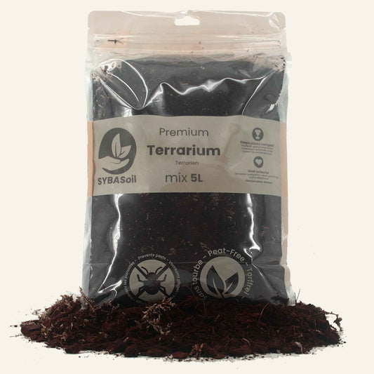 Terrarium-Jord