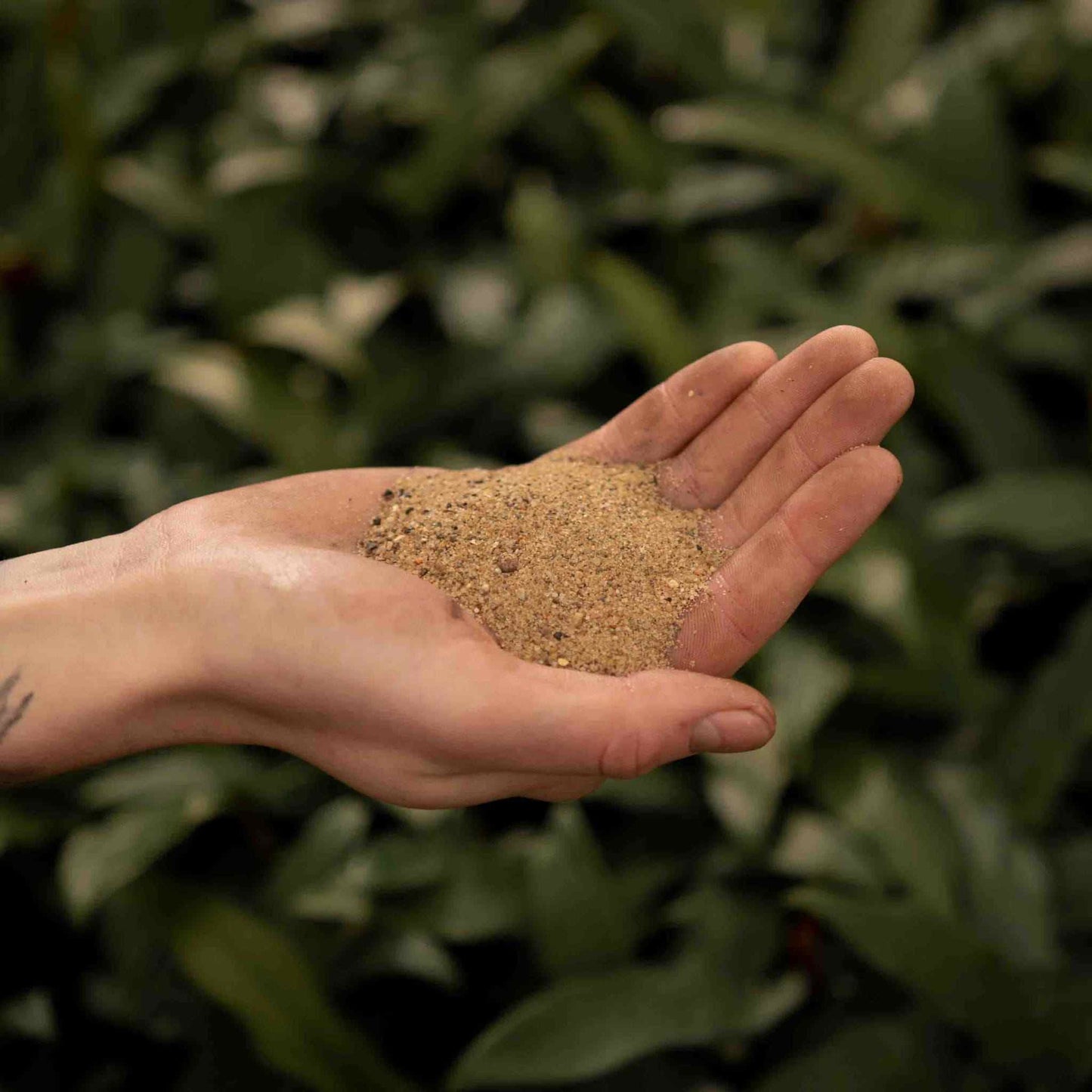 Havesand