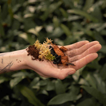 Terrarium-Jord